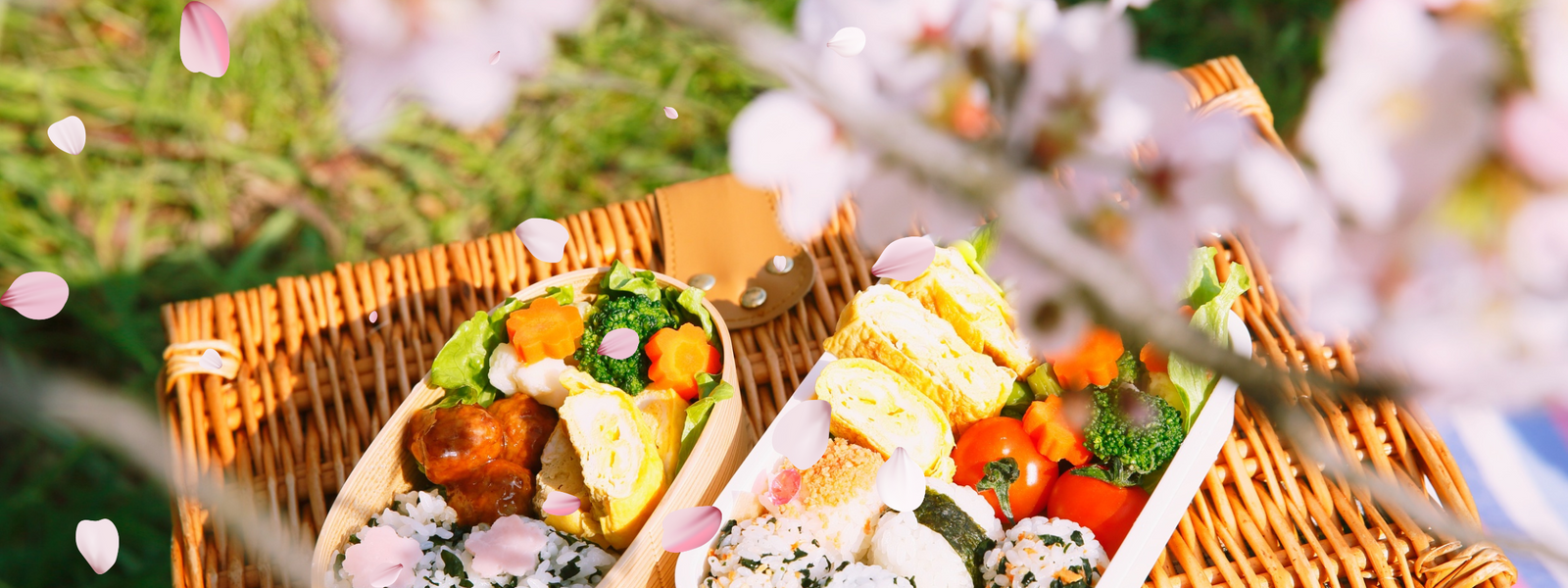 Hanami Bento