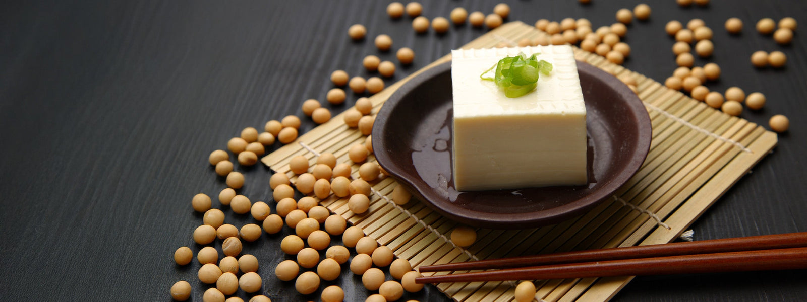 TUYU TOFU