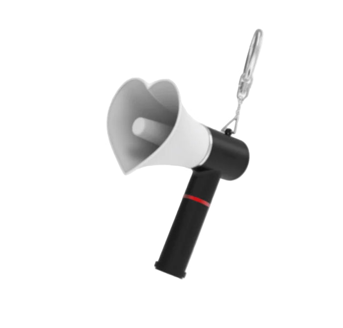 THE BOYZ - Mini Light Keyring